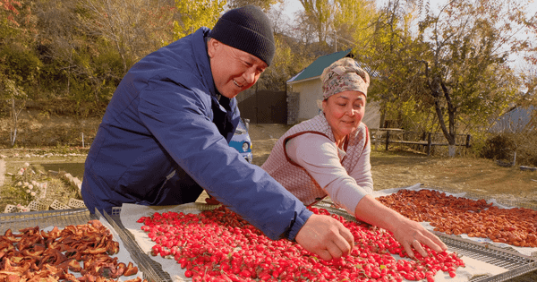 Мөмө-жемиштерди инновациялык күн кургаткыч менен кургаткан Рано Чекированын ийгилик баяны