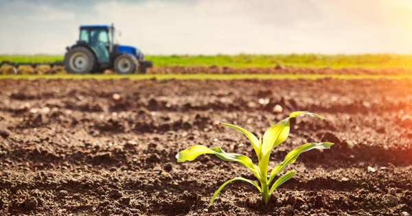 Айыл чарба министрлиги жазгы талаа иштеринин жүрүшү боюнча отчет берди