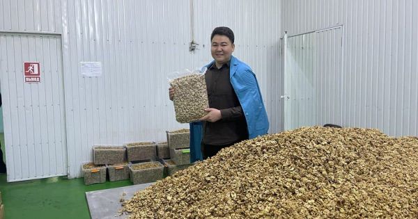 Sun Planet Organic – Кыргызстандын жер жемишин өздүк бренд менен дүйнөгө экспорттогон жаш ишкер Бекназар Асановдун баяны