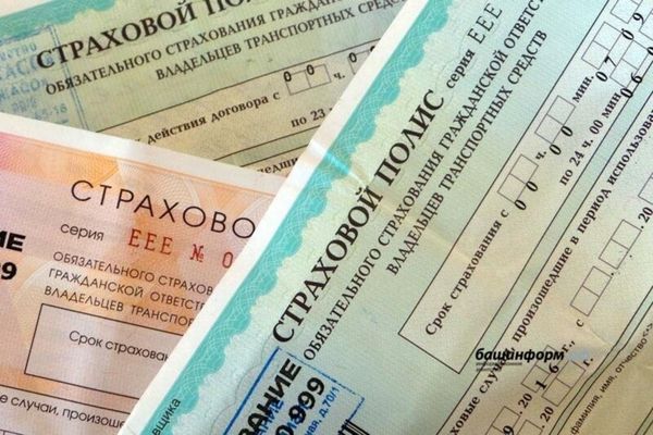 Кыргызстанда бир айдын ичинде 21 миңден ашык ОСАГО полистери берилди