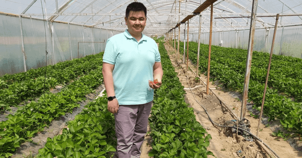 Италиялык кулпунайларды Кыргызстанда өстүргөн бизнесмен Алишер Кадыркуловдун баяны