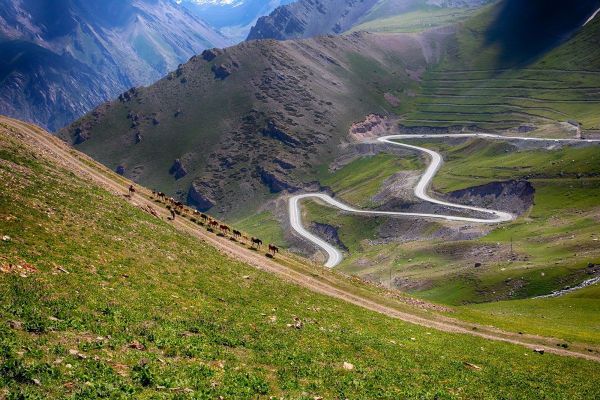 Кыргызстанда транспорттук туңгуюктан этап-этабы менен чыгууга бардык мүмкүнчүлүктөр бар – Арзыбек Кожошев