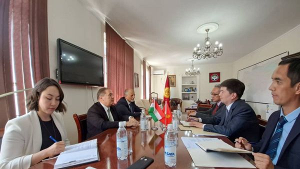 Кыргызстан менен Венгрия ирригациялык системаны жакшыртуу тууралуу талкуулашты