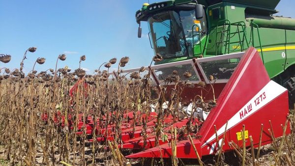 Фермерлерге 3 млрд сомдон ашык жеңилдетилген насыя берилди