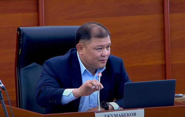 Дастан Жумабеков «Кичи-Капка» өткөрмө бекетин ачууну сунуштады