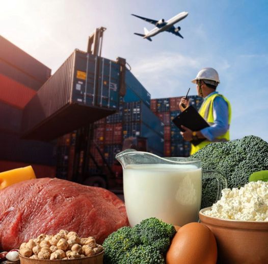 2023-жылдын I-чейрегинде айыл чарба продукциясы 7.9 млрд сомго экспорттолгон