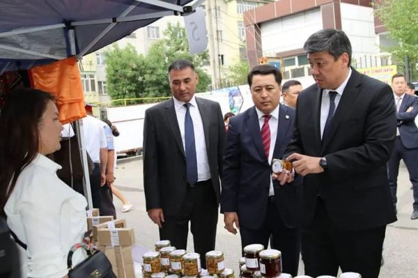 Жалал-Абадда туристтердин жаңы түрүн киргизсек болот – Бакыт Төрөбаев