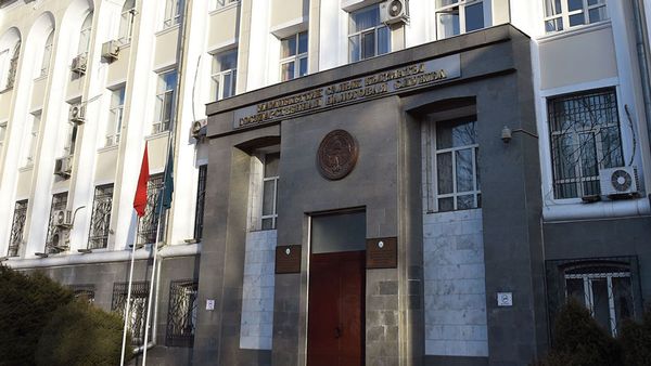 Туум жана санкциялардын 50% эсептен чыгарат – Салык кызматы шарттарын айтып берди