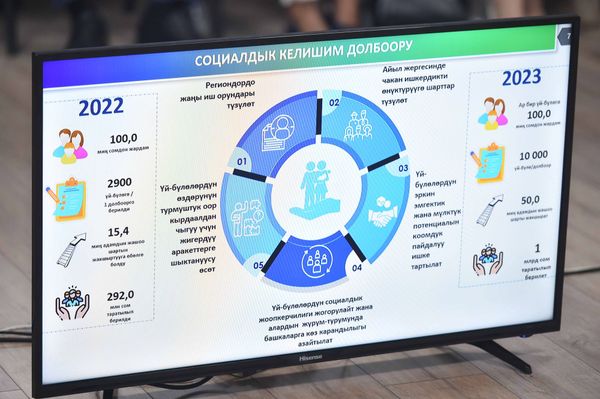 Минкаб Эмгек министрлигинин I жарым жылдыгынын жыйынтыгын чыгарды