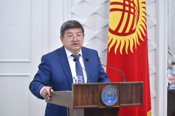 Экономика министрлиги өкмөттүн тарабынан сынга кабылды