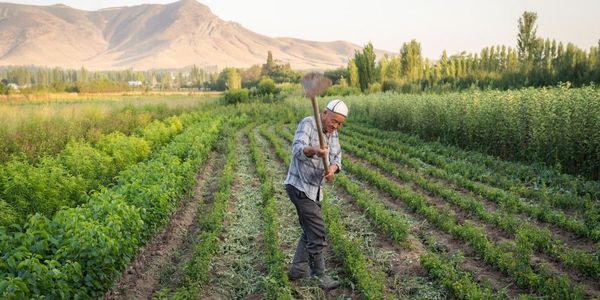 Фермерлерге 3.2 млрд сомго жеңилдетилген насыялар берилди