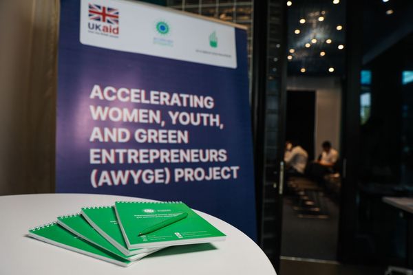 Go Green Acceleration үч кыргызстандык ишканага 30 миң долларга чейин инвестиция берет