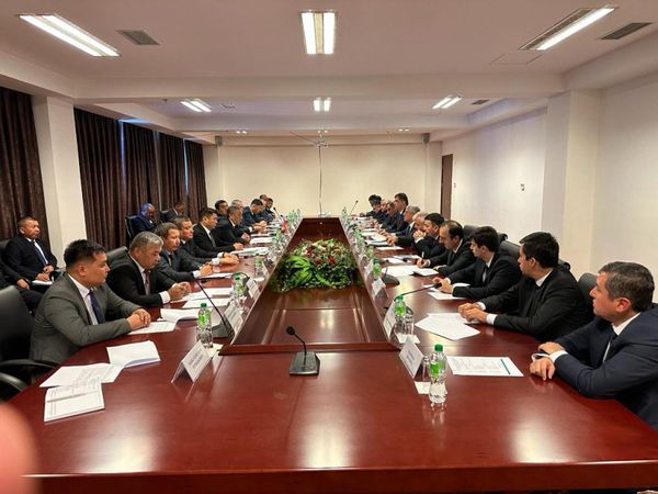 Кыргызстан менен Тажикстандын топографиялык жумушчу топтору жолугушту