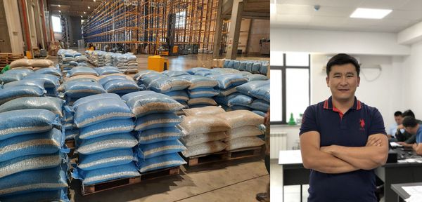 Таластын төө буурчагын Балкан өлкөлөрү тамшанып жешет — Сербияга дүңүнөн экспорттогон ишкер Ислам Мирбек уулу