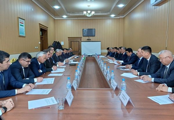 Кыргыз-тажик чек арасынын 17.98 чакырымы макулдашылды