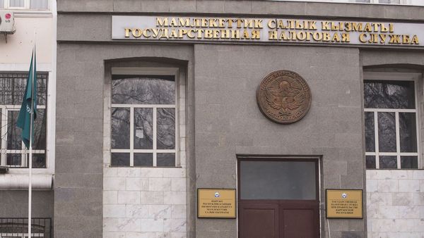 «Дордойдо» кармалган төрт салыкчы иштен бошотулду