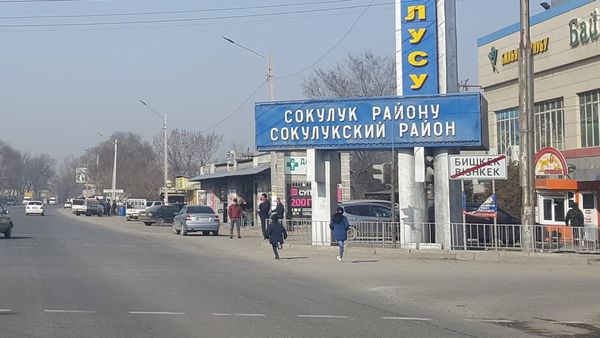 Сокулук районунда «Таза коноктун» жетекчиси кыймылсыз мүлктү мыйзамсыз саткан – УКМК