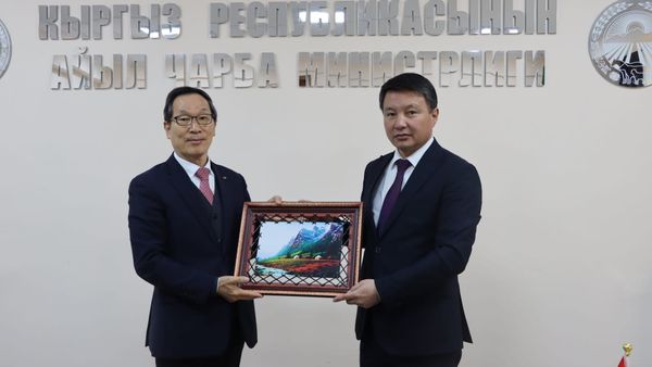 Кореялык KRC жашылча-жемиштерди экспорттоого көмөктөшөт