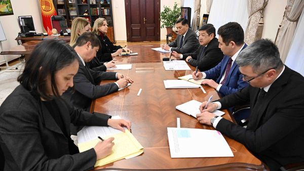 Акылбек Жапаров БУУнун Өнүктүрүү Программасынын делегациясы менен жолугушту