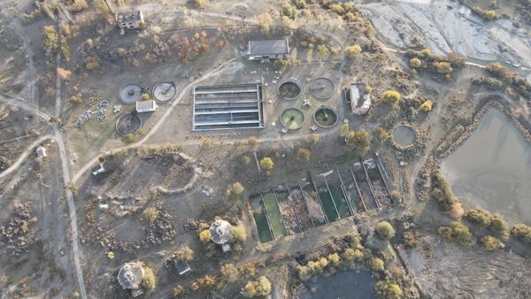 Мамкурулуштун башкармалыгынын башчысы кармалды