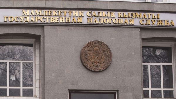 Салык кызматы укук коргоо функциялары боюнча мыйзам долбоорун кайтарып алды