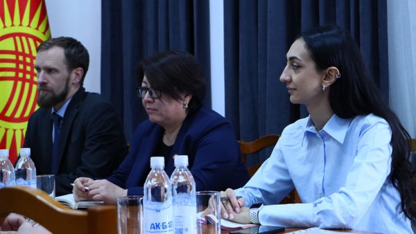 Кыргызстанда "жашыл" экономика үчүн аймактык кызматташтык кеңейет