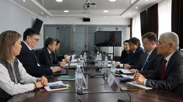 ДАПтын долбоору Кыргызстанда 50 миңдей адамды жумуш менен камсыз кылды