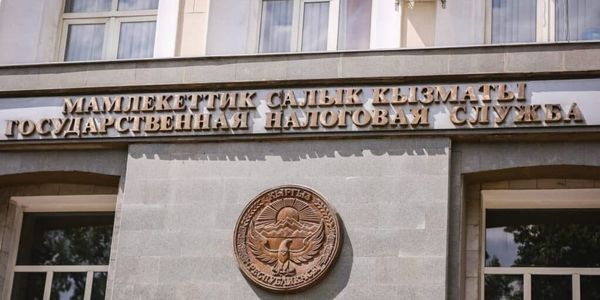 Мамлекеттик салык кызматкерлери боюнча 9 айда 181 кайрылуу түшкөн