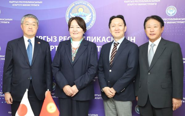 Япониялык Stem долбоору Кыргызстандын мектептеринде сыналат