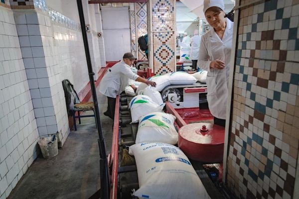 Кыргызстанда быйыл шекердин баасы кымбаттабайт