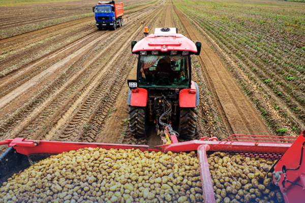 АЧК-13 долбоору: 4 080,95 млн сом жеңилдетилген кредит каржыланды