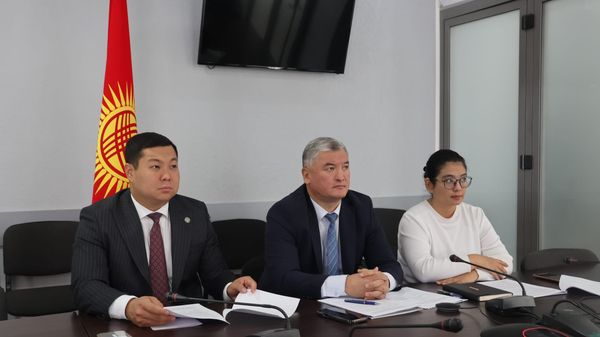 Кыргызстан КМШнын эмгек жана социалдык коргоо кеңешинде тажрыйба бөлүштү