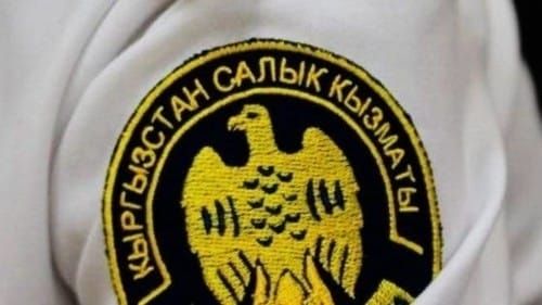 Салык кызматы 4,6 млн сомдук мыйзамсыз жүктүн өлкөгө киришине бөгөт койду