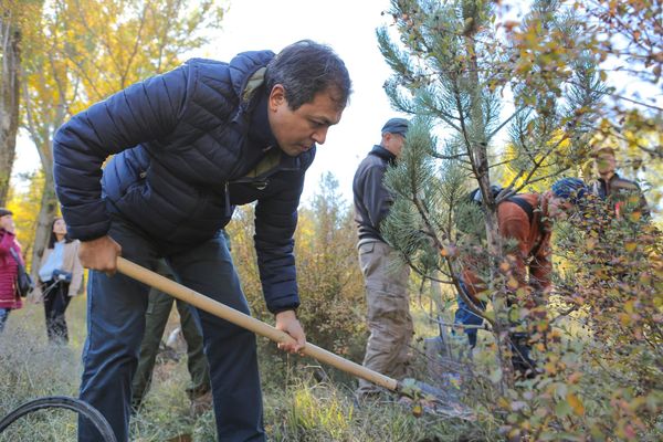 Бишкекте 10 миң көчөт отургузулат