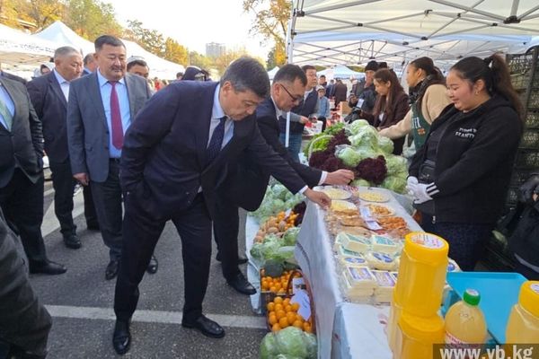 Кыргызстан кайра иштетүү тармагында 900дөн ашык жумуш орундары түзүлдү