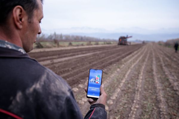 Санариптешүү - кант кызылчасын өндүргөн дыйкандардын түйшүгүн азайтууда