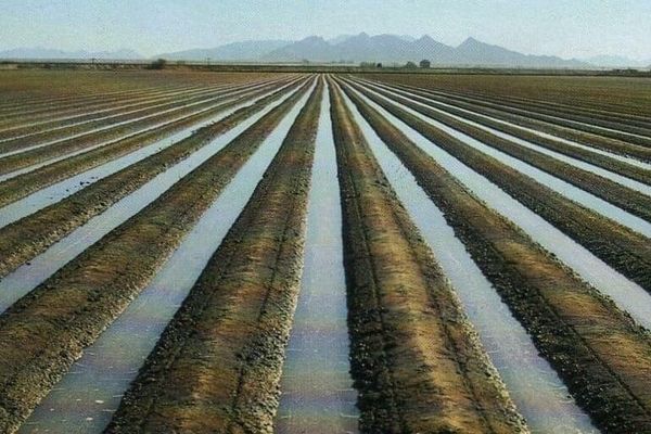 Өлкө боюнча күзгү сугаруу иштери активдүү жүрүп жатат