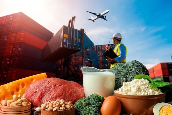 Кыргызстан агроэкспортун 2030-жылга карата эки эсеге көбөйтүү пландалууда