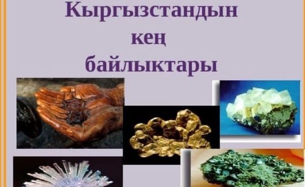 Кыргызстанда канча кен байлык казуучу жай бар?