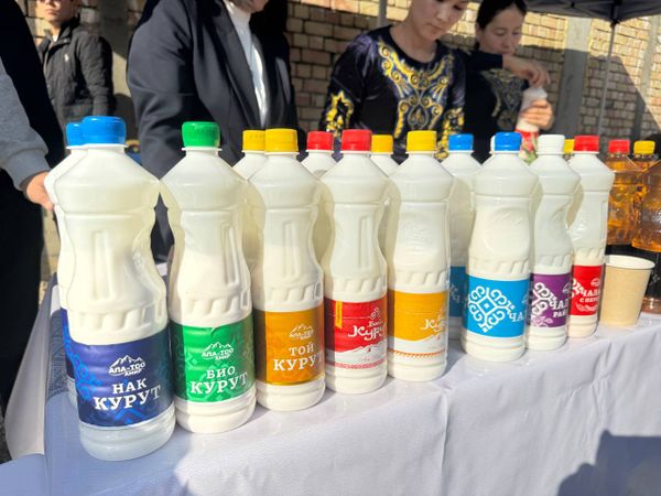 Кара-Сууда сүттөн жана мөмө-жемиштерден улуттук суусундуктар өндүрүлүүдө