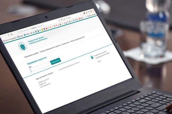 Кыргызстанда салыктык текшерүү аралыктан жүргүзүлөт