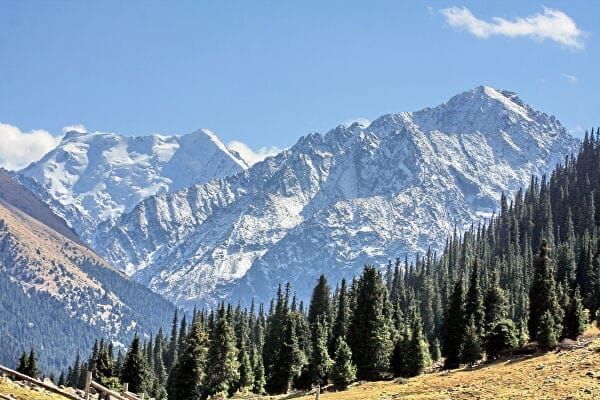 Сеулда Кыргызстандын токой чарбасы боюнча жаңы долбоору бекитилди