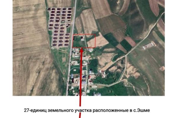 Кара-Сууда 12,29 га жайыт жер мыйзамсыз бөлүштүрүлгөн