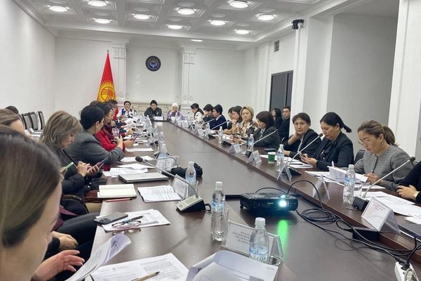 Аял ишкерлерге берилген насыялар 2,5 жыл ичинде 45%га өскөн