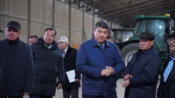 Төрөбаев "Түп" картошка өстүрүү борборунун ишмердүүлүгү менен таанышты