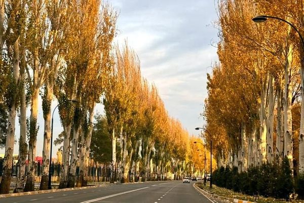 Бишкекте 26-ноябрда 25,3° сельсияга жетип, рекорддук жылуу чегине жетти