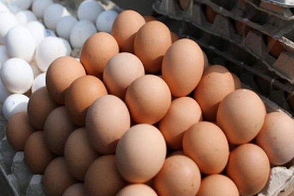 ЕАЭБ өлкөлөрүнүн ичинен Кыргызстанда жумуртка быйыл көп өндүрүлгөн