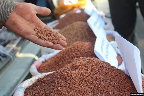 Кыргызстан Өзбекстанга быйыл 678 тонна күрүч импорттоду