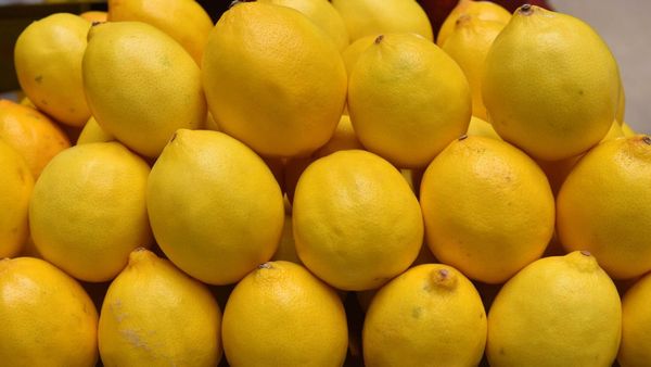 Быйыл Өзбекстандан Кыргызстанга 107 тонна лимон экспорттолгон