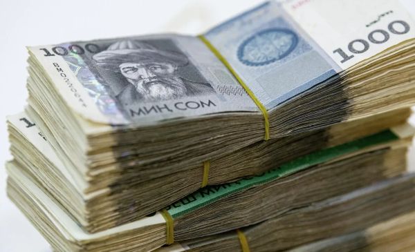 Аймактарды өнүктүрүү фонддору 10 айда 164 экономикалык долбоорду каржылады